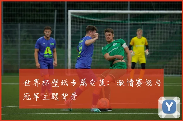 世界杯壁纸专属合集：激情赛场与冠军主题背景