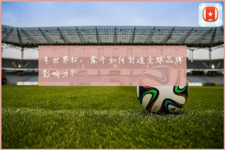 年世界杯，蒙牛如何打造全球品牌影响力？