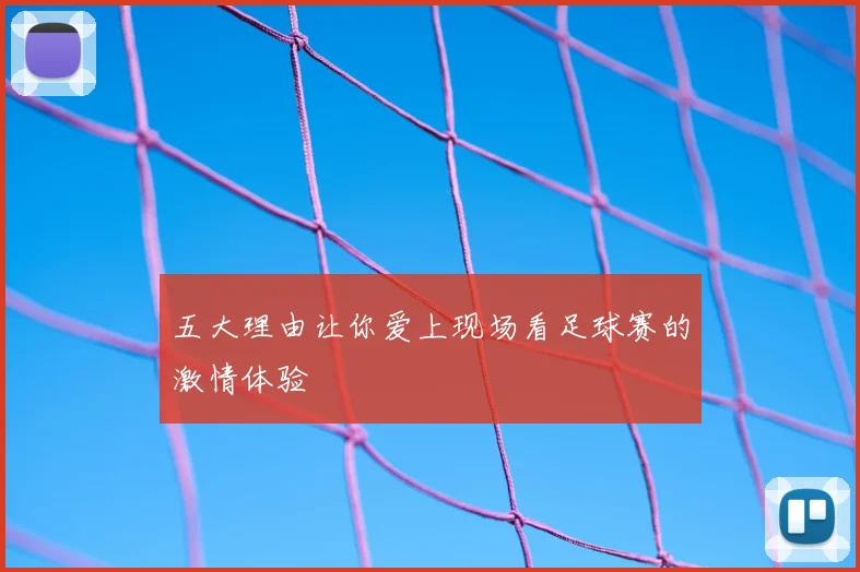 五大理由让你爱上现场看足球赛的激情体验